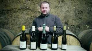 Vouvray Alexandre Monmousseau Chateau Gaudrelle  Vin de Loire [upl. by Otsenre]