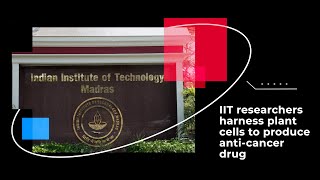 IIT researchers harness plant cells to produce anticancer drug [upl. by Brookes]