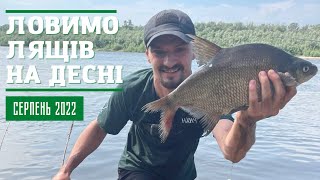 Рибалка на Десні 🎣 ловимо Ляща на Фідер 📌Рибалка 2022❗ Ловимо на горох на сильній течії 🌊 [upl. by Gershom]