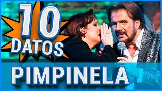 HD Pimpinela  Olvídame y pega la vuelta 1984 [upl. by Oric]