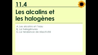 114  Les alcalins et les halogènes [upl. by Brill818]