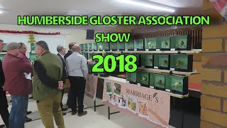 Gloster Canary Show 2018 Revisited [upl. by Aylad]