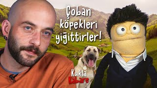 HAYVANCILIK ANTİBİYOTİKLİ TAVUKLAR KAŞAĞI [upl. by Gloriana]