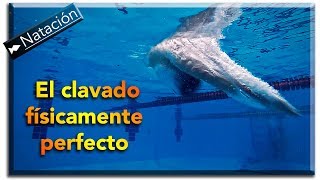 Como hacer un clavado perfecto  Física de la Natación Parte 4  Salidas [upl. by Philipps]