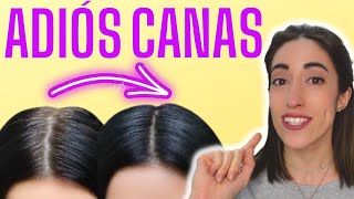 👌 ELIGE el NÚMERO de TINTE correcto para CUBRIR tus CANAS [upl. by Erreipnaej799]