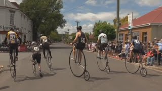 National PennyFarthing Championships return to Tasmania [upl. by Niawd471]