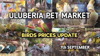 ULUBERIA PET MARKET BIRDS PRICES UPDATE 7th SEPTEMBER uluberiapetmarket cheapestprice birds [upl. by Hassadah]