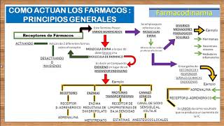 TEMA 3FARMACODINAMIA RECEPTORES FARMACOLOGICOS e introduccion a los AGONISTAS Y ANTAGONISTAS [upl. by Ardnusal883]