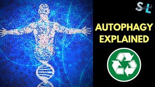 What Is Autophagy  Your Bodys Miraculous Healing Mechanism  Autophagy Explained SCIENCE [upl. by Schiff]