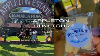 Appleton Estate Rum Tour [upl. by Esinyt]