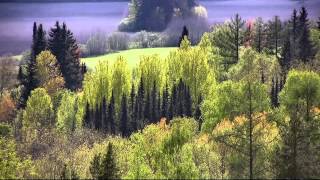 Arboretum Mustila Elimäki Finland [upl. by Choong634]