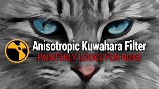 Anisotropic Kuwahara Filter for Painterly Looks in Nuke [upl. by Diandre]