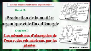 la mise en évidence des échanges hydriques entre la cellules végétale et le milieu extérieur [upl. by Werra988]