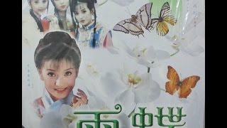 Faye Wong 王菲  偿还 Chang Huan 成都音像 Cheng Du Production  DVD版 [upl. by Yseulta]