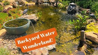 Pond Pondless Waterfall Spillway Urn Rockscape We Turned this Yard into a Water Wonderland P2 [upl. by Nanci]