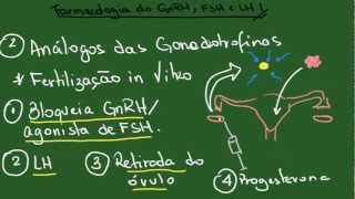 Análogos do GnRH e Gonadotrofinas FSH e LH  Resumo  Farmacologia [upl. by Teplitz]