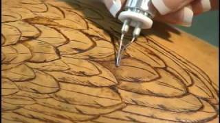 Woodburning on Gourds with Carrie Dearing [upl. by Kozloski]