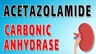 Acetazolamide Mechanism and Side Effects [upl. by Arrak]