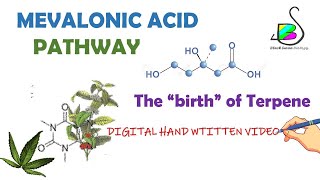 PLANTS SECONDARY METABOLITES PART2 TERPENES BIOSYNTHESIS CSIR NET [upl. by Eintirb706]