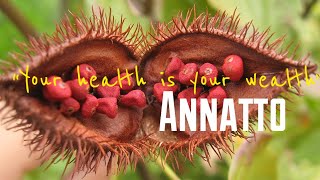 Amazing Health Benefits of Annatto Seeds  Achiote [upl. by Notfilc]