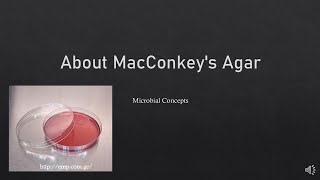 Principle of MacConkey’s Agar II Microbiology II Media principle [upl. by Otreblasiul]