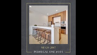 Pedregal One Unit 101 [upl. by Adebayo245]