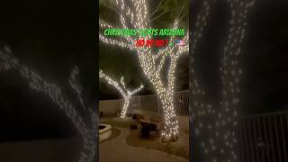 Christmas Lights tree wrap merrychristmas christmas ￼christmasdecorations ￼ [upl. by Stockmon172]