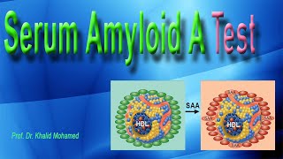 Serum Amyloid A test [upl. by Annonyw694]