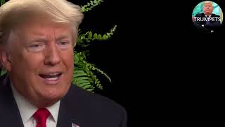 Between two Ferns Trump amp Zach Galifianakis [upl. by Joashus]