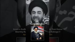 ayatollah sistani Waqiya  Moulana Syed Ali Raza Rizvi Shorts Shia Muslim Imam Jafare sadiq Azadari [upl. by Oicaroh227]