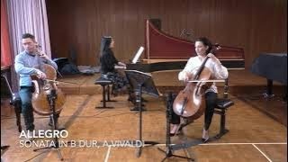 AVIVALDI 6 CELLO SONATAS BY MRampMRS CELLO AND YEONJEONG MÜDESPACHER [upl. by Joseph]