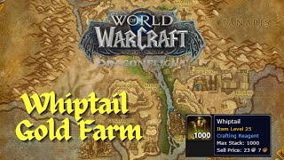 Whiptail Gold Farm  Whiptail Herb Farm WoW Dragonflight  WoW Gold Farm  Dragonflight Gold Farm [upl. by Cilegna]