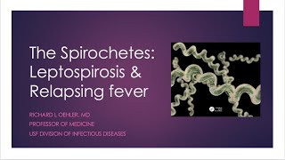 The Spirochetes Leptospirosis and Relapsing Fever  Richard L Oehler MD [upl. by Lauralee]