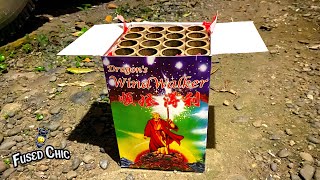 Dragon’s Wind Walker 16 shots cake by Dragon Fireworks Inc [upl. by Innavoij]