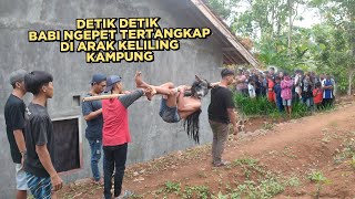 VIRALDETIK DETIK BABI NGEPET BERUBAH JADI MANUSIA TERTANGKAP WARGA DBAWA KELILING KAMPUNG [upl. by Nrehtak680]