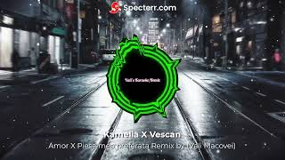 Kamelia X Vescan  Amor X Piesa mea preferata Remix by Vali Macovei [upl. by Iron318]