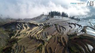 Yuanyang China Rice Terraces on the Shores of a Sea of Clouds [upl. by Yleek28]