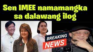 Sen IMEE ginagamit pa din VP SARA [upl. by Hillard780]