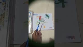 Kingfisher drawing Transition ❤️❤️ drawing art artist artwork transition [upl. by Enriqueta]