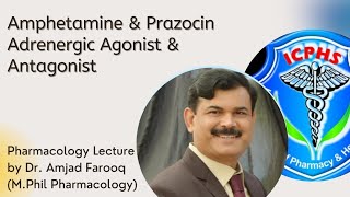 Amphetamine amp Prazocin  Adrenergic agonist amp Antagonist  Pharmacology lecture [upl. by Aniloj]