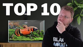 Top 10 UNIQUE Fish for Your 20 Gallon Aquarium [upl. by Nayab]