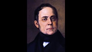 The Best of Carl Czerny  Piano Etudes [upl. by Dlanar]