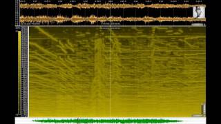 Karlheinz Stockhausen  Klang 13 Stunde Cosmic Pulses 2007 [upl. by Esilahc]