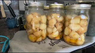 DRY CANNED POTATOES So much better [upl. by Eannaj174]