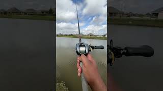 Shimano curado DC sound fishing shimano bassfishing [upl. by Adnuahs]