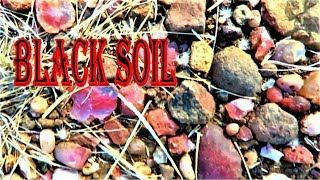 THERES AGATES EVERYWHERE  Black Soil Area  Liz Kreate [upl. by Llerihs]