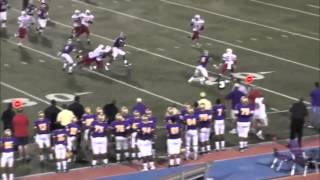 2014 RB Leonard Fournette Highlights from his sophomore season [upl. by Rossie]