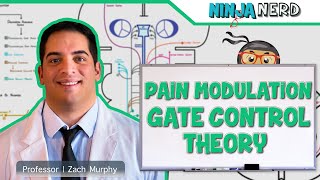 Ascending Tracts  Pain Modulation Gate Control Theory [upl. by Jeavons]