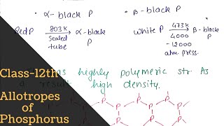 Allotropes of phosphorus  full concept   p block Elements  Class12th  Bharat Panchal [upl. by Iloj]