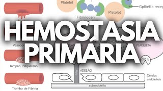 HEMOSTASIA PRIMÁRIA hematologia [upl. by Niac911]